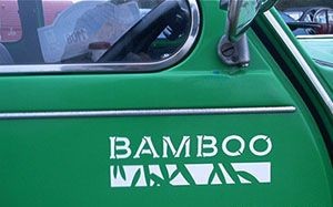 87bamboo2.jpg