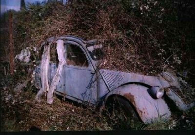 2cv_004.jpg